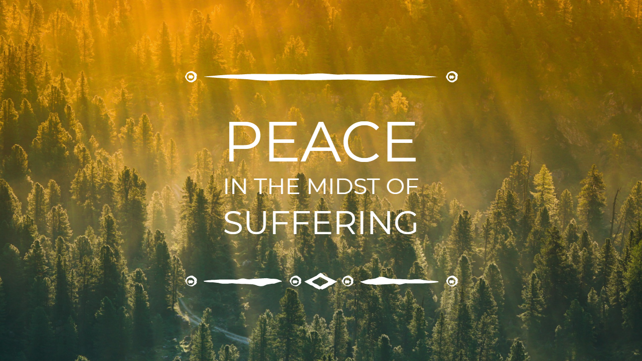 Peace In the Midst of Suffering - STOUT MEMORIAL